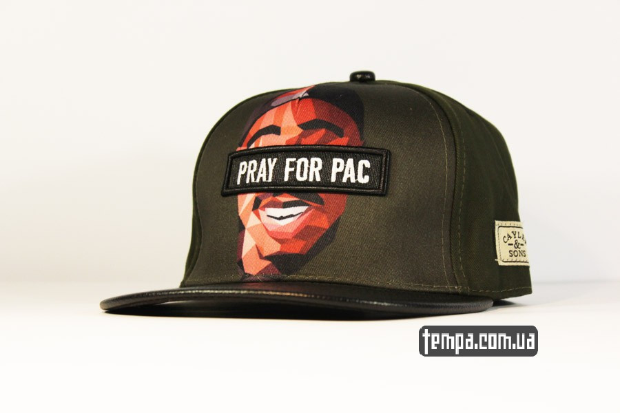 кепка бейсболка cayler sons pray for pac 2pac
