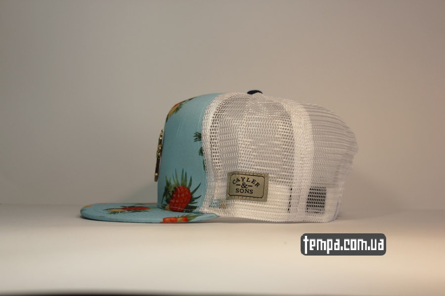 белая голубая бейсболка кепка trucker snapback с ананасом cayler sons ananas