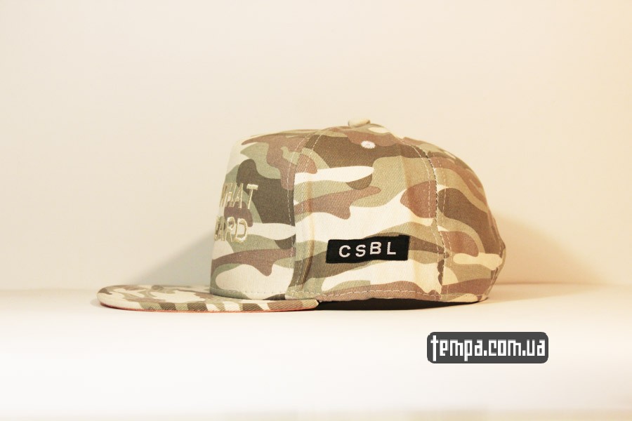 купить в Украине кепка snapback fuck what you heard cayler sons военной расскраски