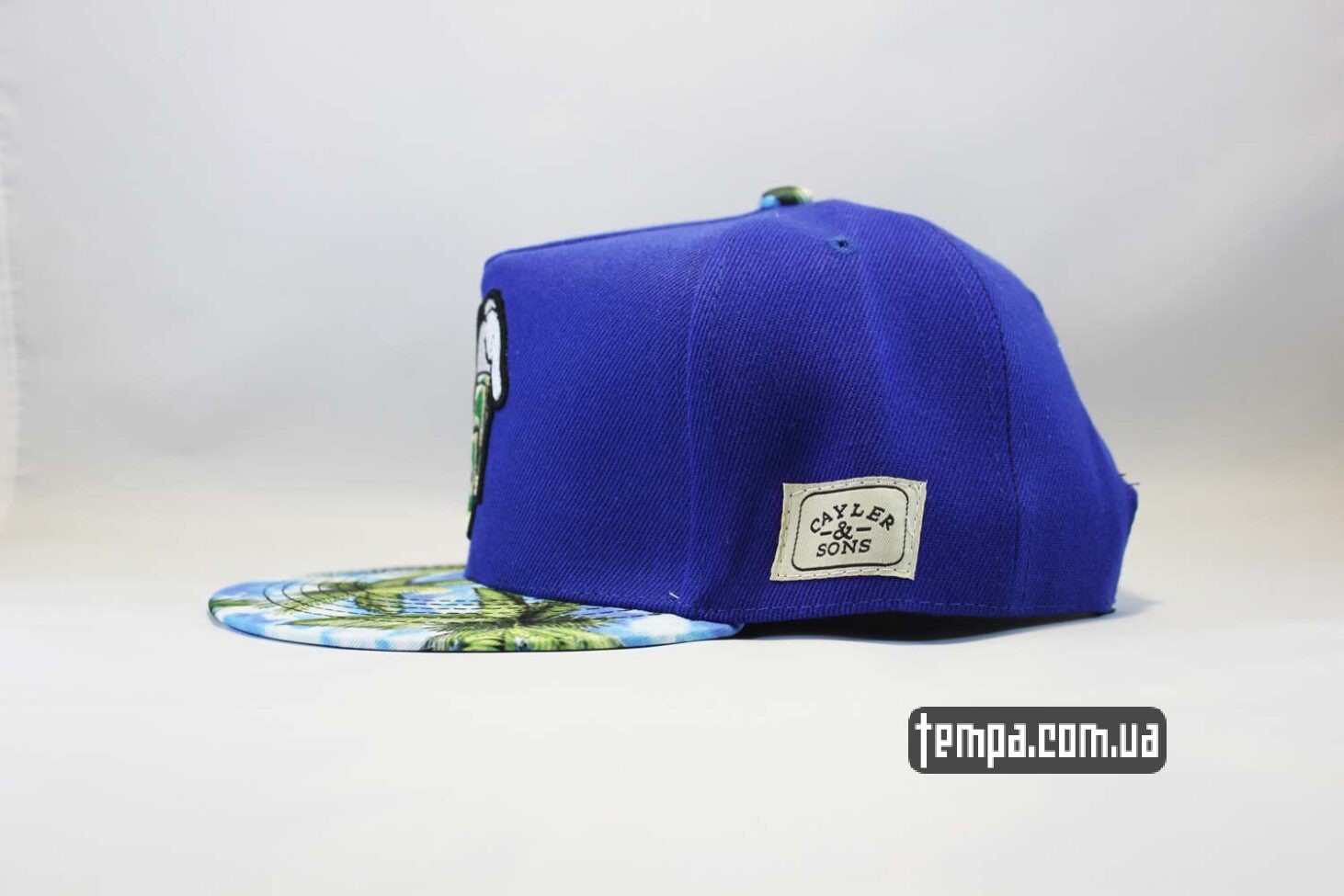 даллары Украина купить кепка snapback Make It Rain Cayler and Sons с деньгами синяя