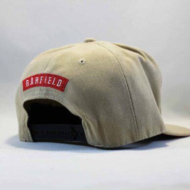 кепка snapback garfield swag Cayler and Sons серая купить