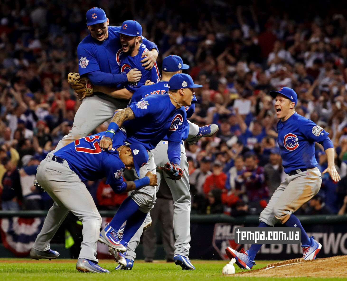 Chicago Cubs бейсбольная одежда купить Украина