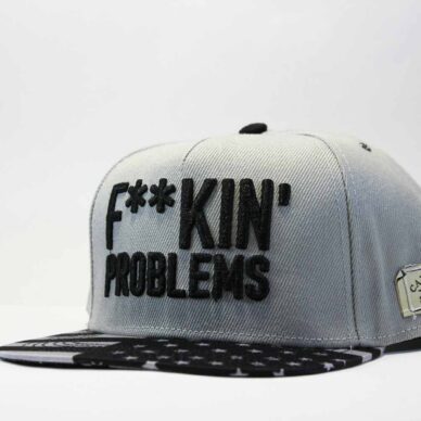 кепка snapback Fucking Problems Cayler and Sons серая США