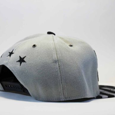 кепка snapback Fucking Problems Cayler and Sons серая США