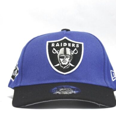 кепка снепбек raiders newera синяя купить
