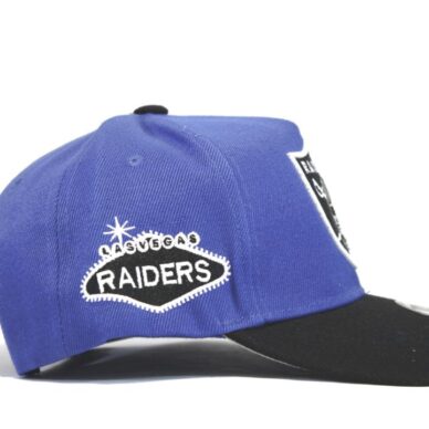 кепка снепбек raiders newera синяя купить